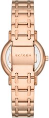 Skagen Signatur Lille SKW3125