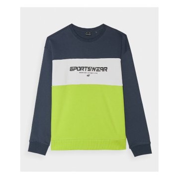 4F Športni pulover 4FJWSS24TSWSM092372N