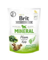 Brit Pamlsok Brit Care Dog Functional Snack Mineral Ham for Puppies 150 g