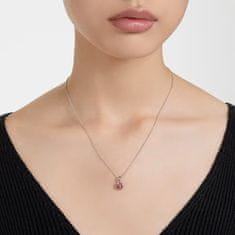 Swarovski Primerna ogrlica za ženske rojene januarja Birthstone 5651709