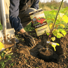 Substral Naturen BIO gnojilo za jagodičevje, 1.7 kg + DARILO