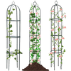Severno Vrtna pergola "Persian Yellow"