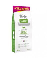 Brit BRIT Care dog Grain free Adult Large Breed Salmon &amp; Potato 12 + 2 kg hrane za pse
