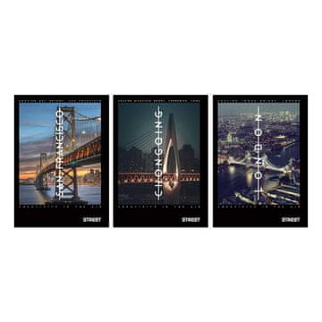 VSE ZA ŠOLO Zvezek a4 mp gladek 50-listni bridges