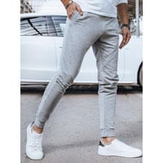 Dstreet Moške športne hlače ASA svetlo sive barve ux4375 M