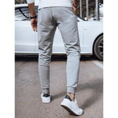 Dstreet Moške športne hlače ASA svetlo sive barve ux4375 M