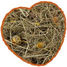 Duvo+ Special seno z regratom 1kg