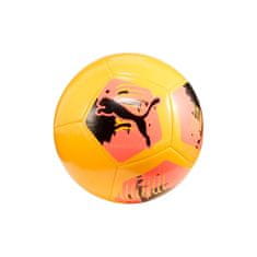 Puma Žoge nogometni čevlji 3 Big Cat