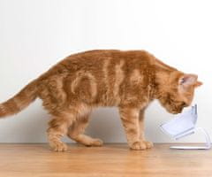 PET Treatment posoda s stojalom za mačke, 350ml, za hrano/vodo, 15° nagib