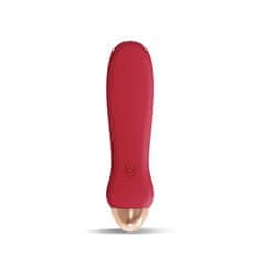 Latetobed Mini vibrator "Festival" (R900311)