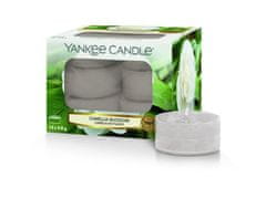 Yankee Candle Camellia Blossom sveča 9,8g čajna luč 12 kosov