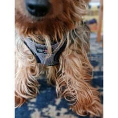 COBBYS PET Mrežasti brezrokavnik siv L: 48-58cm