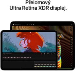 Apple iPad Pro 13 tablični računalnik, M4, 2TB, Cellular, črna (7. generacija) (mvxy3hc/a)