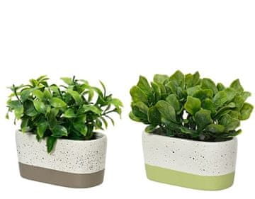 shumee Umetna okrasna zelena rastlina 1 kos 14x7x15 cm