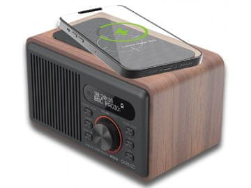 Carneo W100/Brown