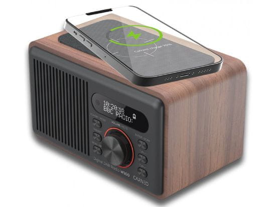 Carneo W100/Brown