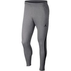 Nike Hlače siva 188 - 192 cm/XL Dry 23 Alpha Pants