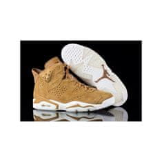 Nike Čevlji rjava 44 EU Jordan VI Retro Wheat Pack