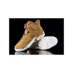 Nike Čevlji rjava 44 EU Jordan VI Retro Wheat Pack