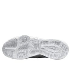 Nike Čevlji košarkaška obutev siva 42.5 EU Lebron Xvii Low Particle Grey