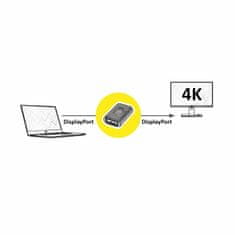 Value adapter DisplayPort Ž-DisplayPort Ž 12.99.3165-10