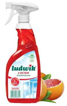 shumee Ludwik čistilo za steklo in ploščice s kisom 600 ml Grenivka