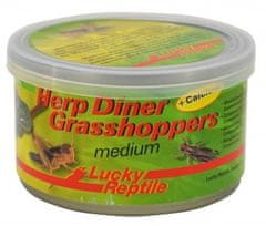 Lucky Reptile Herp Diner - sardele 35g približno 50 srednje velikih