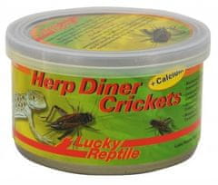 Lucky Reptile Herp Diner - cvrčki 35g 35g - veliki