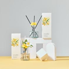 Difuzor s cvetjem Narcisa 200ml, vonj Deep musk 