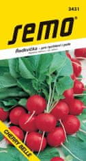Semo Seme rdeče redkvice - Cherry Belle za polje in gojenje 1,5g
