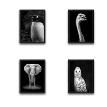 Wallity Dekorativno uokvirjeno slikarstvo (4 kosi)