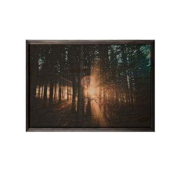 Wallity Dekorativno uokvirjeno leseno slikarstvo