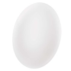 Emos Fioni LED nadometno svetilo, okroglo, 18W, IP44, nevtralno bela