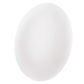 Emos Fioni LED nadometno svetilo, okroglo, 18W, IP44, nevtralno bela