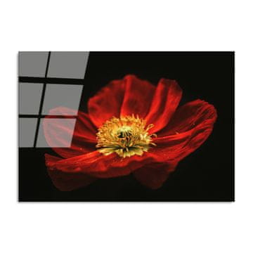 Wallity Dekorativno slikarstvo iz kaljenega stekla, UV-204 70 x 100