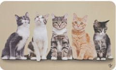 Olivo Tappeti PET OASIS preproga 45x75 cm od OLIVO TAPPETI
