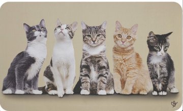 Olivo Tappeti PET OASIS preproga 45x75 cm od OLIVO TAPPETI