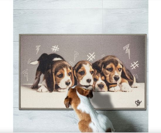 Olivo Tappeti PET Digitalna podloga OLIVO TAPPETI 40x75 cm