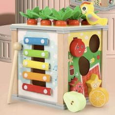 Kruzzel Izobraževalna lesena kocka - sorter Kruzzel 22566
