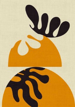 Pelcasa Matisse Cut Outs3 - 50x70 cm