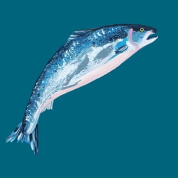 Pelcasa Leaping Salmon - 30x40 cm