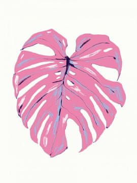 Pelcasa Monstera Leaf Pink - 50x70 cm