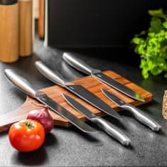 Teesa Komplet 5 full inox kuhinjskih nožev v lesenem bloku