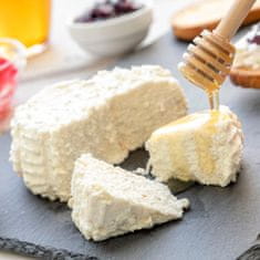 UNBRANDED Mould for Making Fresh Cheese with Manual and Recipes Freashy InnovaGoods 