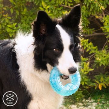 UNBRANDED 2-in-1 Freezable Pet Chew Toy Glubiz InnovaGoods