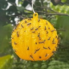 Vixson Lepljiva past za muhe (6 kosov) | BUGIORB