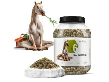 sarcia.eu Phytoseo zeliščna mešanica PHYTO HORSE 6 - prebava - 1,4 kg