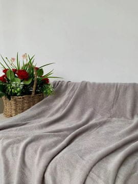 Ljubki dom Mikro plišasta odeja SOFT, svetlo siva Dimenzije: 200 x 220 cm