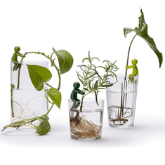 InnovaGoods Držalo za rastline - Leafriend, SET 3 - Pripomoček za ukoreninjanje
