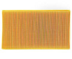 Nedis Motorni filter za sesalnik/ Kärcher 6.904-367.0/ oranžno-rumene barve